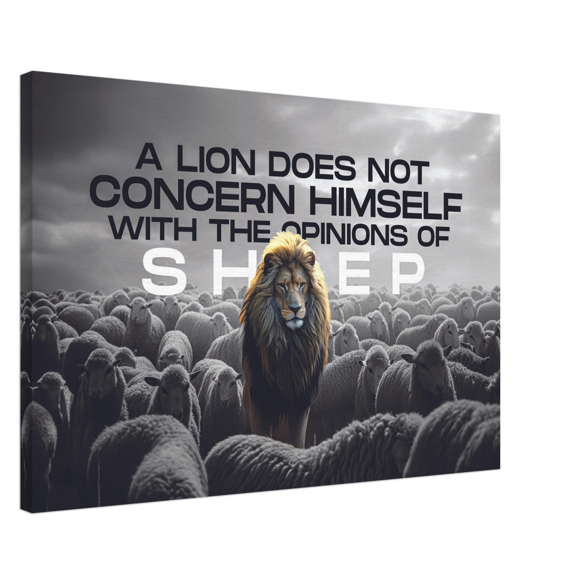 Lion and Sheep